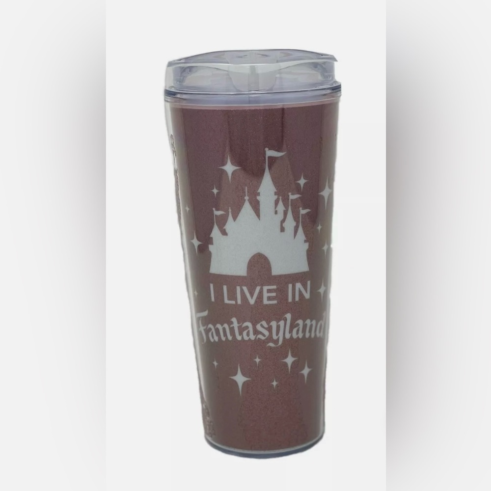 Disney Parks Castle I Live In Fantasyland Rose Gold Tumbler Cup 22oz